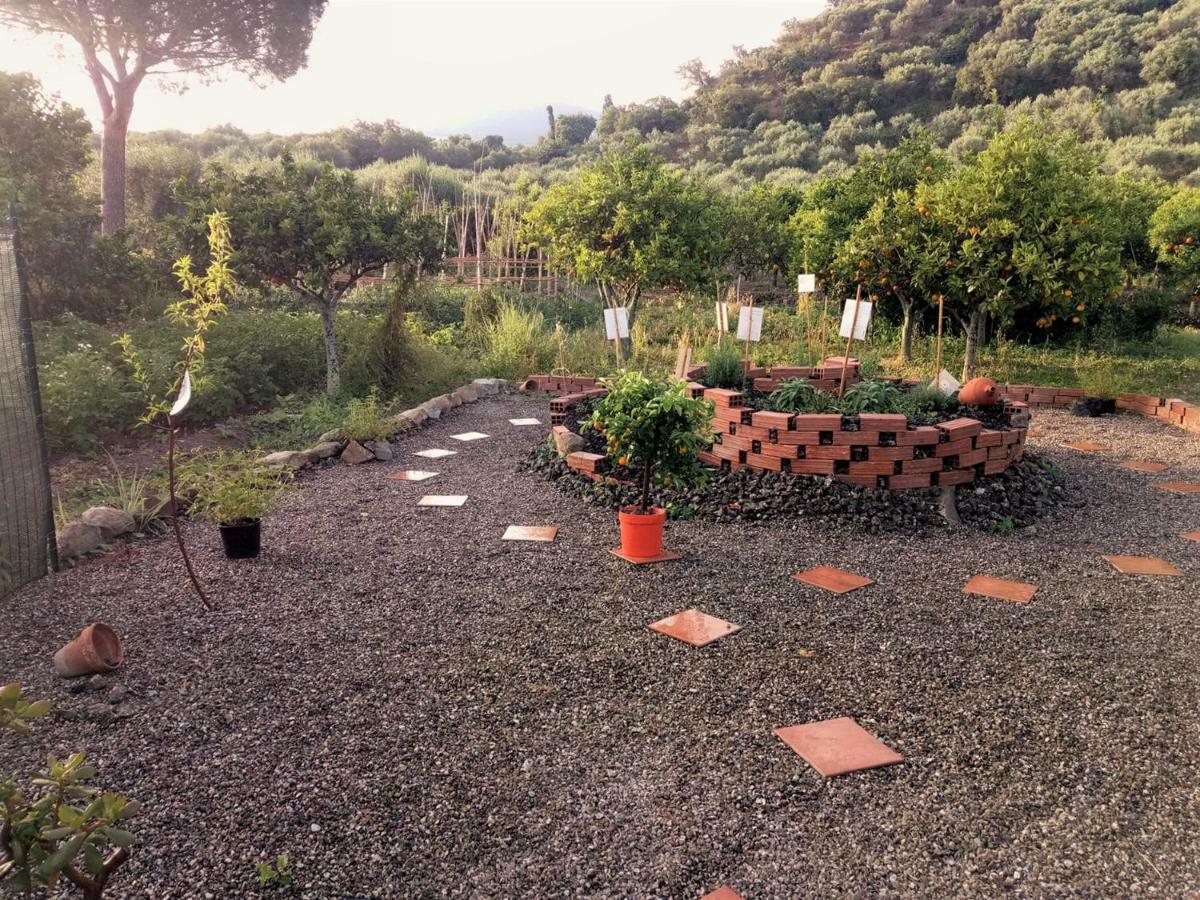 Agriturismo Aiolia - Panorama Eolie Villa Mongiove Exterior foto