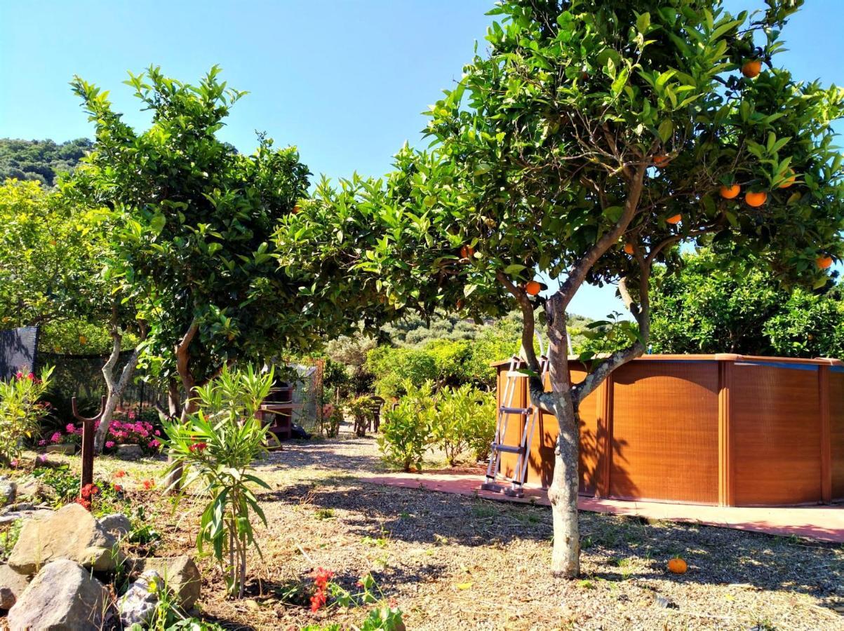 Agriturismo Aiolia - Panorama Eolie Villa Mongiove Exterior foto